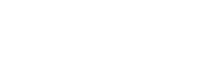 Micro IT